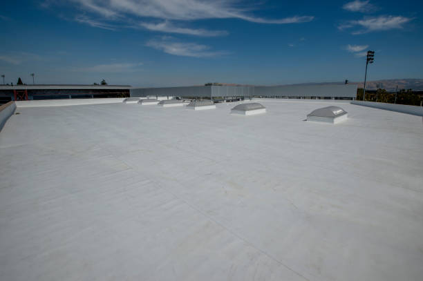 Best Rubber Roofing (EPDM, TPO)  in Afton, MN